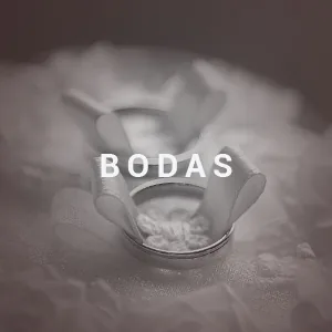 Bodas